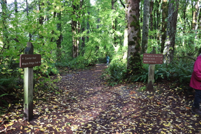 Trailhead to Maple Ridge and Center Trail with directional signage
